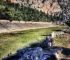 argolis olympia delphi tour