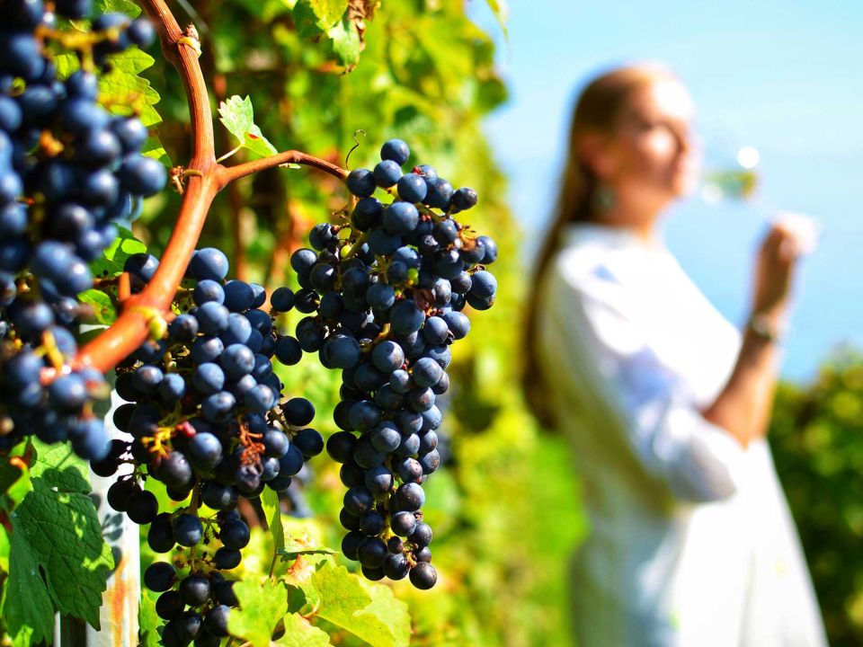 Ancient Corinth & Wine Tasting in Nemea Full Day Tour