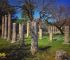 argolis olympia delphi tour