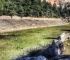 argolis olympia delphi tour