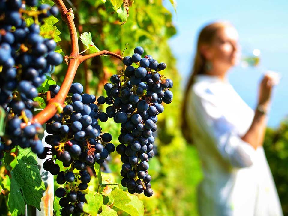 Ancient Corinth and Wine Tasting Nemea Tour