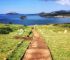cape sounion half day tour