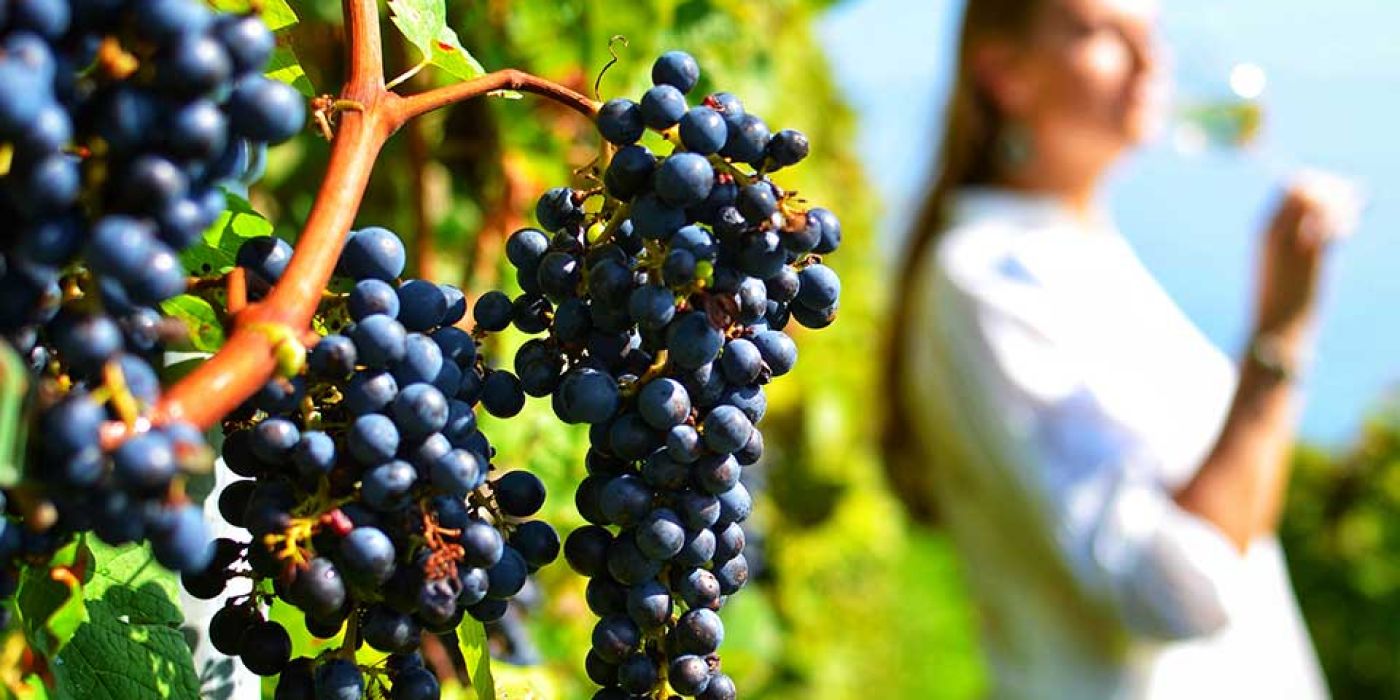 A Perfect Day in Greece